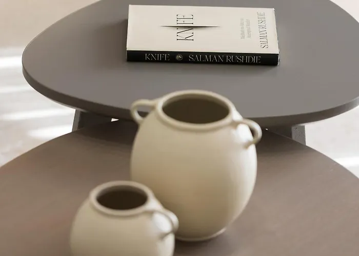 Meteoron Hotel de apartamente